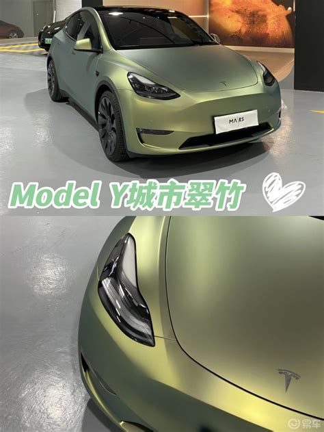 Model Y Model Y