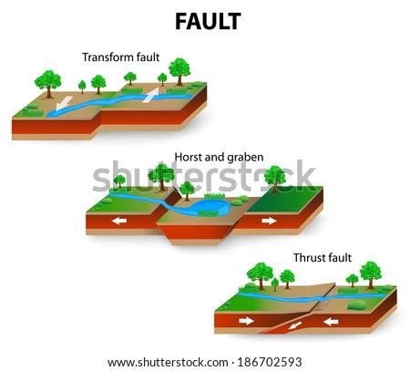 Types Geological Faults Transform Thrust Fault Stock Vector 184649939 ...