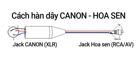 C Ch H N D Y Canon Ra Hoa Sen Xlr Rca Av