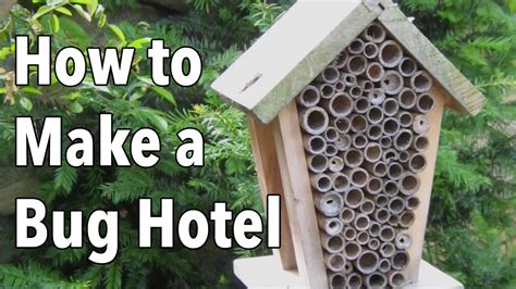 Bug Hotel How To Make A Home For Beneficial Insects YouTube