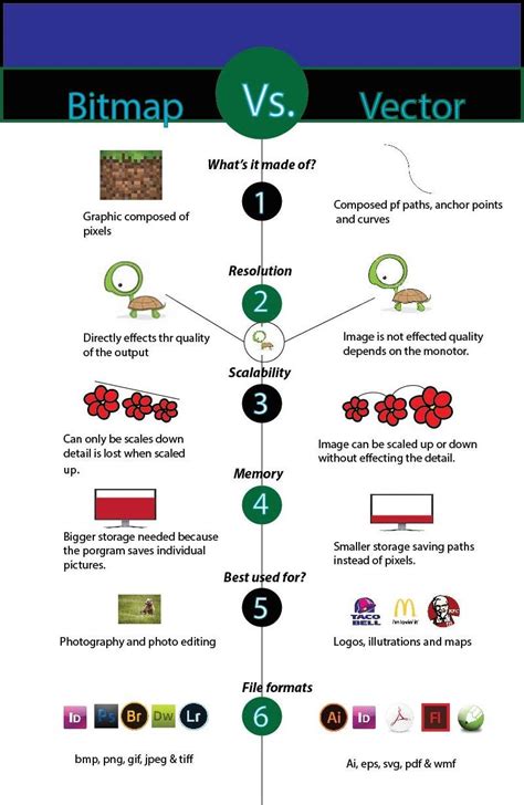 Bitmap vs. Vector poster | Bitmap, Computer photo, Photo class