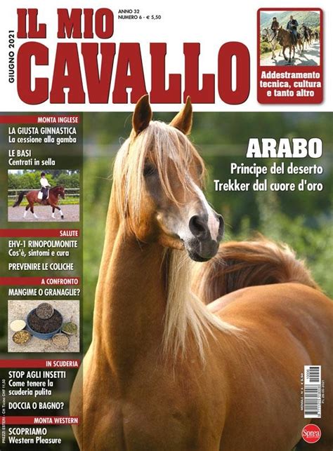 Il Mio Cavallo N 6 SPREA EDITORI