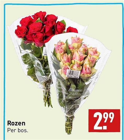 Rozen Aanbieding Bij Aldi