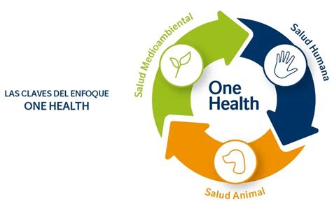 One Health III Jornada Avanzando Hacia Un Abordaje Integral De La Salud