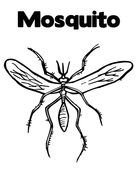 32 páginas para colorear de mosquitos ColoringPagesOnly