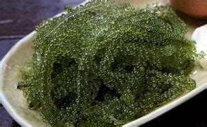 Lato Seaweed Palawan
