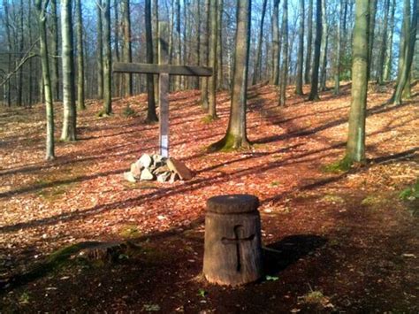 Waldbestattung Bestattungen Tr Ger