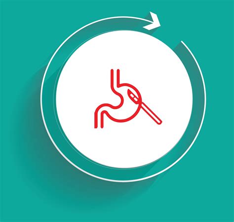 Difference Between Gastric Bypass And Duodenal Switch Surgeries - Doral