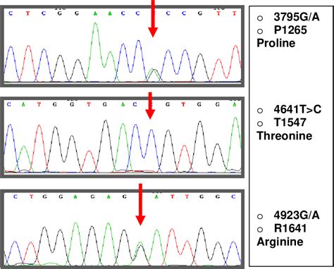 Figure From Sequencing Of Exon Of Von Willebrand Factor In Five