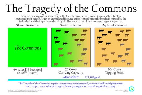 What is the Tragedy of the Commons? | Earth.Org