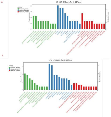 A Gene Ontology Go Enrichment Analysis Of Down Regulated Daps In L7 Download Scientific