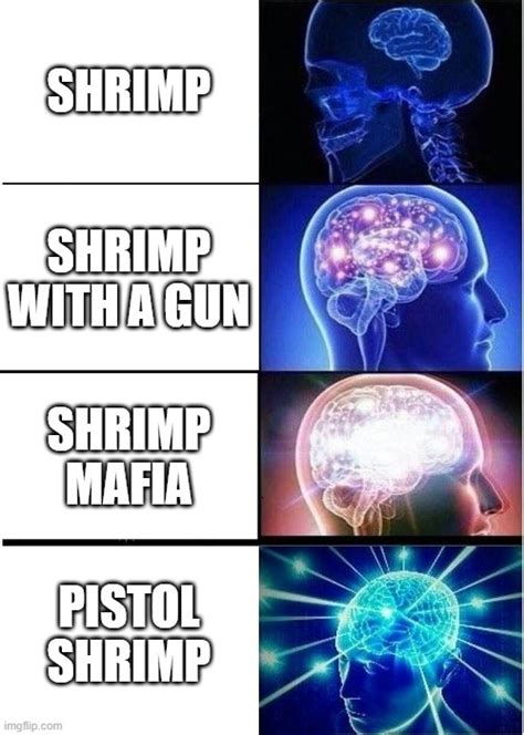 Expanding Brain Meme Imgflip