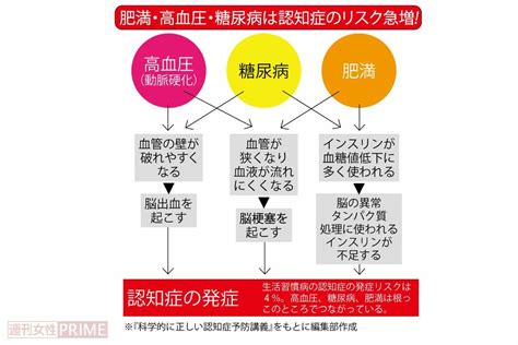 【画像・写真】科学的に正しい「最強の脳若返り」を認知症の権威が指南！発症につながる12のリスク因子とおすすめ知的活動、コロナで急増したモノ忘れ