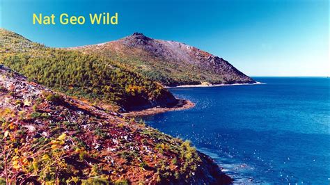 Nat Geo Wild.Дикое море России. Охотское море. - YouTube