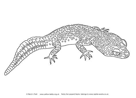 Printable Crested Gecko Coloring Page Crested Gecko Coloring Page