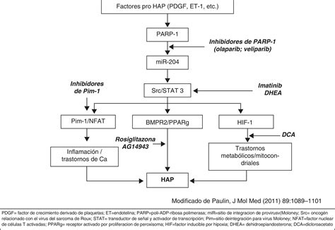 ¿Cuáles son los últimos avances en hipertensión arterial pulmonar ...