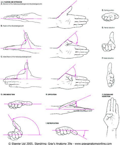 17 Best Erb's Palsy exercises for Presley images | Erb palsy, Plexus products, Pediatric ...