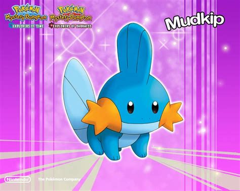 Mudkip Pokemon Mystery Dungeon Wallpaper | Mudkip, Pokemon, Wallpaper