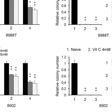 Effects Of High Dose Vitamin C On Pdac Cell Growth A Growth Assay