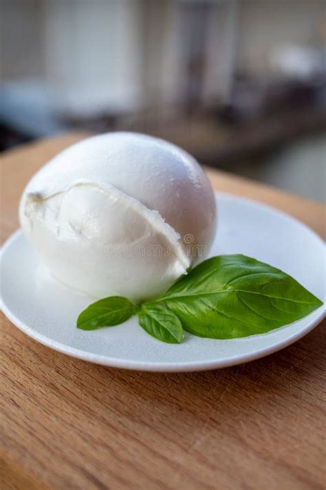 White Ball Of Italian Soft Cheese Mozzarella Di Bufala Campana And