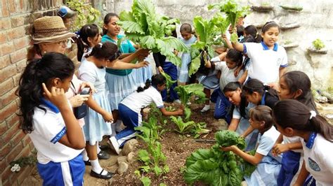 El Rol De La Educación Ambiental En La Promoción De La Sostenibilidad