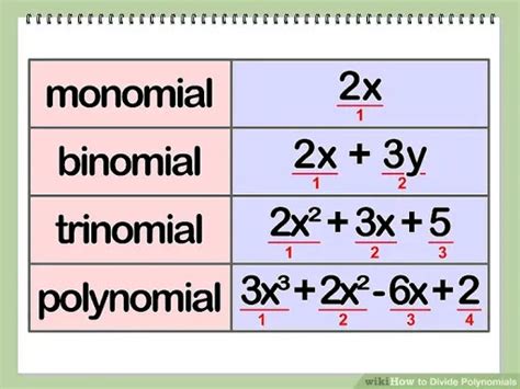 Mg Maths Polynomials