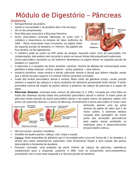 Anatomia do pâncreas Anatomia do pncreas O pncreas uma glndula