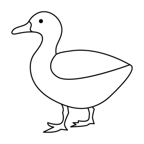 Dessin En Ligne Continue D Un Oiseau D Eau Du Canard Illustration