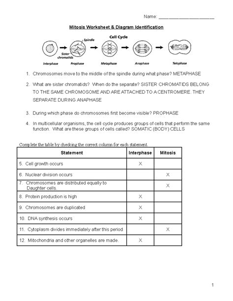 Mitosisworksheet Key 1cq6ob9 Name Mitosis