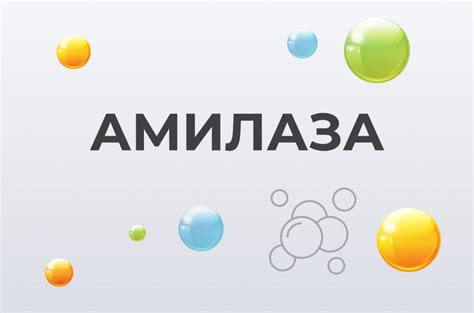 Амилаза: что это такое, и для чего организму нужно? - Consumed