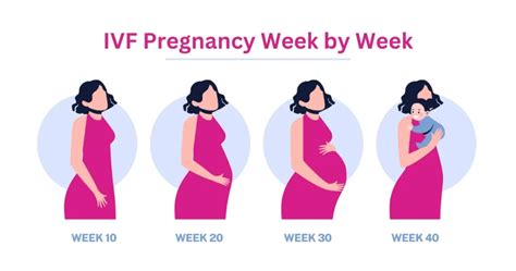 After How Many Weeks IVF Pregnancy Is Considered Safe?