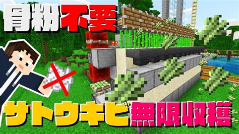 【マイクラ統合版】52 骨粉いらない自動でサトウキビ無限収穫できる装置 【1人でちょっクラ】 Youtube