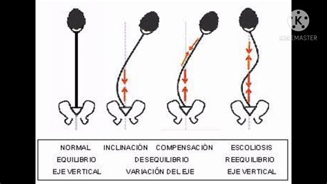 Ejercicios De Klapp Youtube