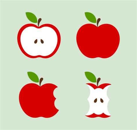 Apple Core Illustrations Royalty Free Vector Graphics And Clip Art Istock