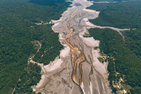 Municípios Do Am Em Situação De Emergência Por Causa Da Seca Chegam A