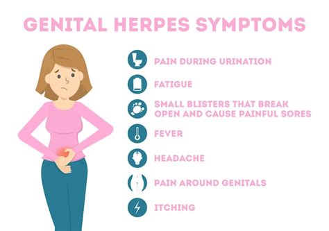 Premium Vector Genital Herpes Symptoms Infectious Dermatology