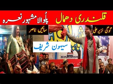 Sehwan Sharif Palu Wala Nara Lal Shahbaz Qalandar R A Dhamal 2024 Urs