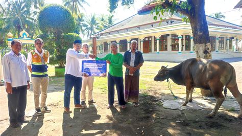 Pelindo Sub Regional Bali Nusra Salurkan 31 Hewan Qurban Pada Idul Adha