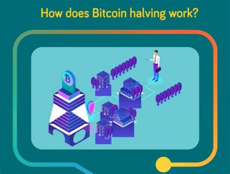 Bitcoin Halving Definitive Guide In Just 5 Minutes Legal Reader