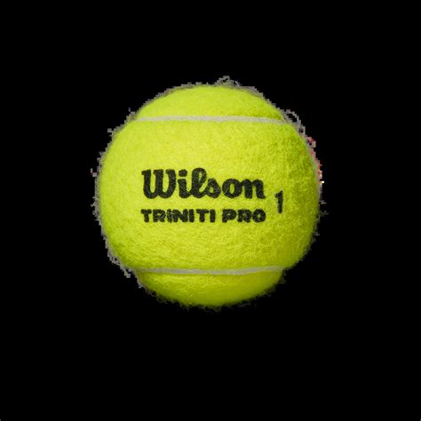 Wilson Triniti Pro (All Court) Tennis Balls (Case) · RacquetDepot