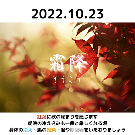 【二十四節気】霜降（そうこう）：2022年は10月23日～過ごし方とイメージする香り 大人の学び直し・リカレント学習にアロマテラピー～知っ