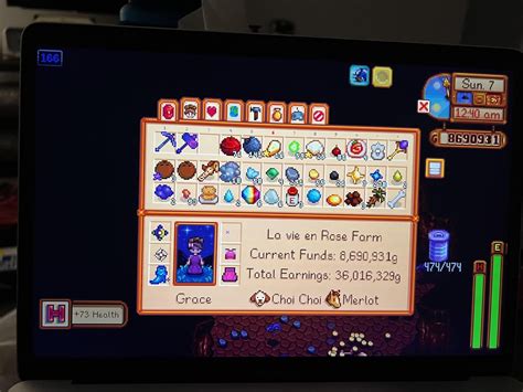 Skull Cavern Run : r/StardewValley