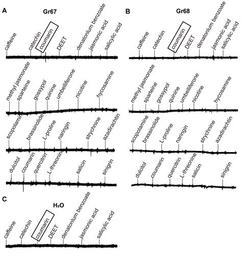 Functional Analysis Of A Bitter Gustatory Receptor Highly Expressed In