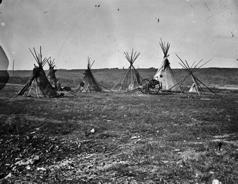 Cree Camp 1871 Native American Peoples Native American Art Old Photos