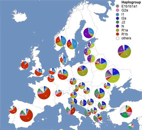 Y Dna Haplogroups In Populations Of Europe Wikipedia Genetics