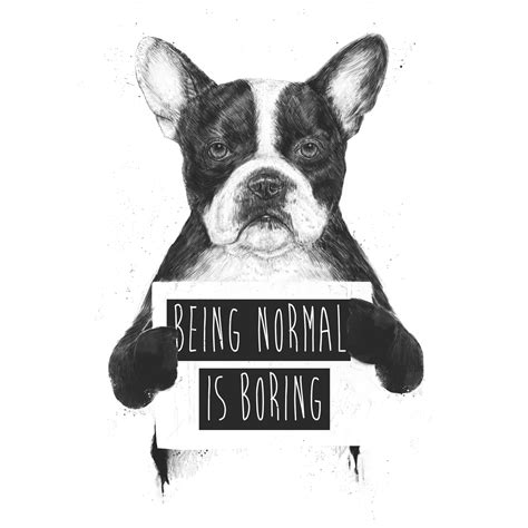 Being Normal Is Boring Wallpaper Happywall