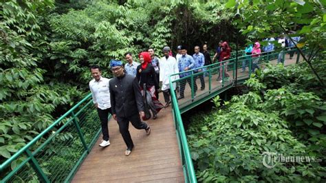 Hutan Kota Pengertian Fungsi Dan Manfaat Hutan Kota Bagi Kehidupan