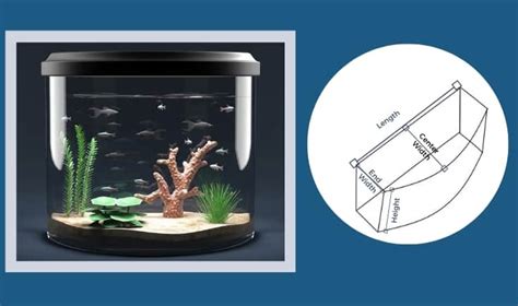 Aquarium Calculator - Tank Volume, Heater Size And More