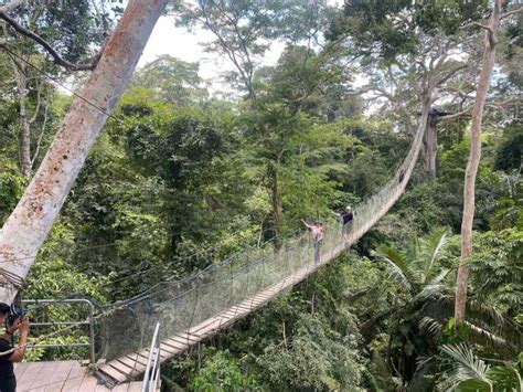 Tambopata Multi Day Amazon Rainforest Tour With Local Guide Getyourguide