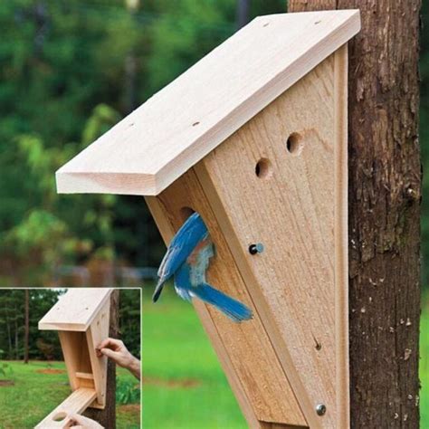 10 DIY Bluebird House Plans You Can Build Today With Pictures House